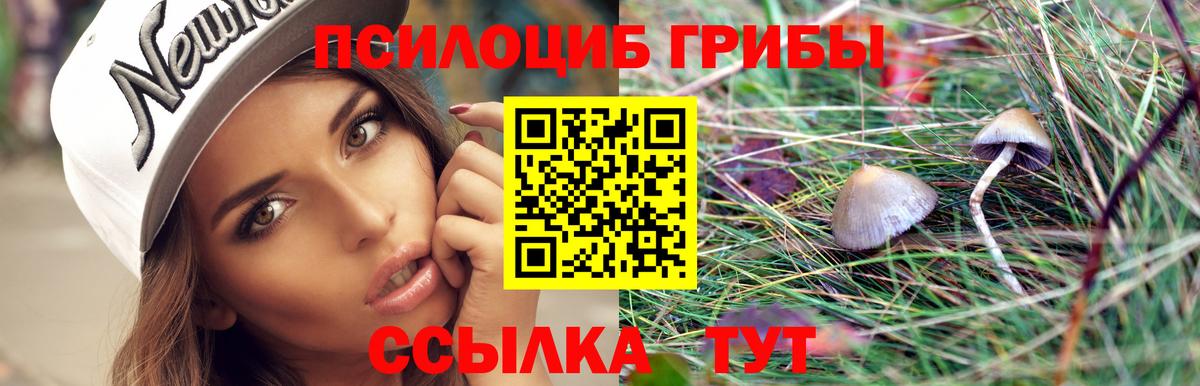 Псилоцибиновые грибы Cubensis  наркошоп  Миллерово  Вход с VPN  Псилоцибиновые грибы мухоморы 