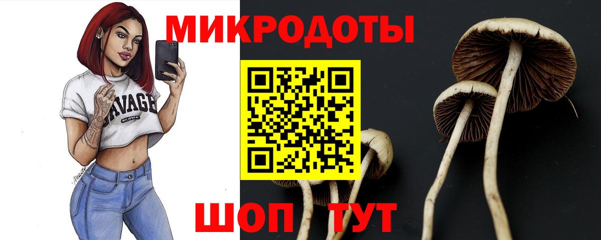 Галлюциногенные грибы мицелий Миллерово